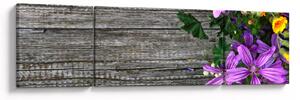 Obraz - luční květiny (170x50 cm)