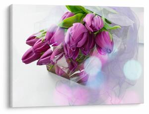 Obraz - kytice tulipánů (70x50 cm)