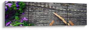 Obraz - luční květiny (170x50 cm)