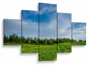 Obraz louky (125x70 cm)