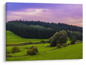 Obraz louky (70x50 cm)