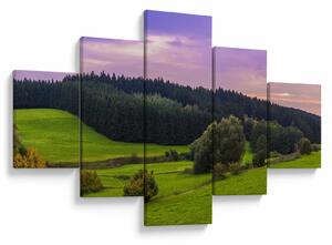 Obraz louky (125x70 cm)