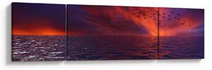 Obraz moře s ptáky (170x50 cm)