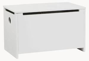 Dětský úložný box Star