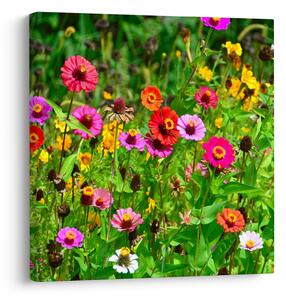 Obraz lučního kvítí (30x30 cm)