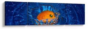 Obraz - pomeranč ve vodě (170x50 cm)