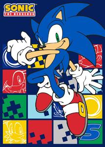 Faro Dětská fleecová deka Polar JEŽEK SONIC 100x140 cm modrá
