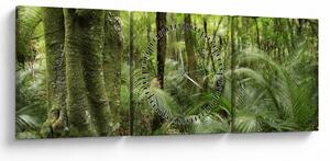 Obraz Tropický deštný prales (s hodinami) (90x30 cm)