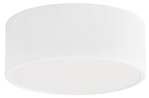 Stropní Lampa TEMAR LIGHTING, Cleo, stmívatelné, Bílá, Obývací pokoj, Kov, Moderní