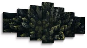 Obraz - Les (210x100 cm)