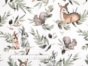 Dětská bavlněná látka/plátno Sandra SA-455 Koloušci zajíčci a veverky na bílém - šířka 160 cm