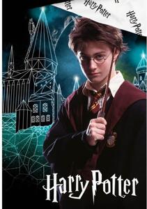 Bavlněné povlečení - Harry Potter