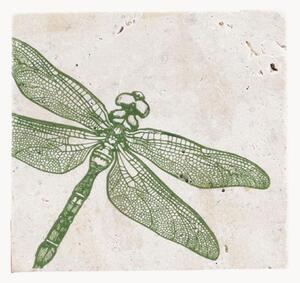 Sada podtácků Dragonfly, 4 díly
