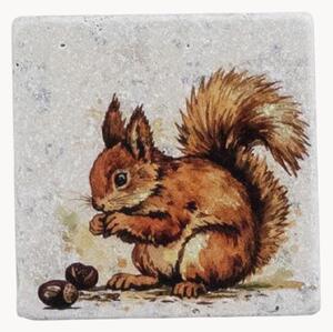Sada podtácků Squirrel, 4 díly
