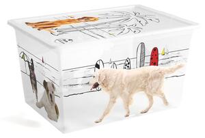 Bílý plastový úložný box s víkem 55x39x31 cm C Box Style – KIS