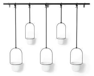 Plastové obaly na květináče v sadě 5 ks na bylinky/závěsné ø 7,5 cm Triflora – Umbra