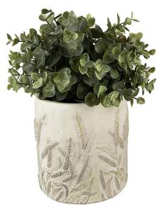 Cementový obal na květináč s jitrocelem Plantain M – 17x17 cm