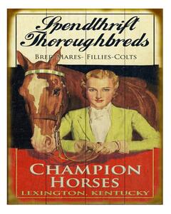 Nástěnná kovová cedule Champion Horses – 20x1x25 cm
