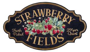 Černá nástěnná kovová cedule Strawberry Fields – 48x1x27 cm