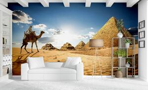 Malvis ® Tapeta Egypt pyramidy Vel. (šířka x výška): 144 x 105 cm