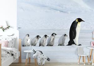 Malvis ® Tapeta Rodina tučňáků Vel. (šířka x výška): 144 x 105 cm
