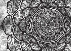 Malvis ® Tapeta Mandala černobílá Vel. (šířka x výška): 144 x 105 cm