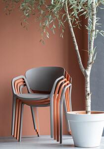 Jídelní židle betanny oranžová