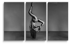 Sablio Obraz - 3-dílný Pole dancer - 120x80 cm