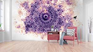 Malvis ® Tapeta Mandala moderní Vel. (šířka x výška): 288 x 200 cm