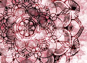 Malvis ® Tapeta Mandala květ Vel. (šířka x výška): 288 x 200 cm