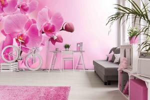 Malvis ® Tapeta Orchidej růžová Vel. (šířka x výška): 144 x 105 cm