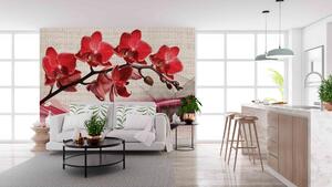Malvis ® Tapeta Orchidej červená Vel. (šířka x výška): 144 x 105 cm