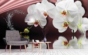 Malvis ® Tapeta Orchidej bílá Vel. (šířka x výška): 288 x 200 cm