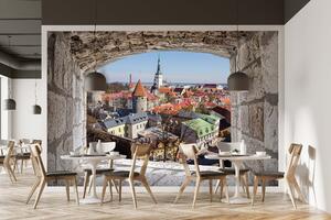 Malvis ® Tapeta Pohled na Tallinn Vel. (šířka x výška): 144 x 105 cm