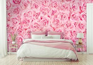Malvis ® Tapeta Stěna z růží Vel. (šířka x výška): 288 x 200 cm