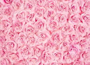 Malvis ® Tapeta Stěna z růží Vel. (šířka x výška): 144 x 105 cm