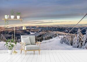Malvis ® Tapeta Zimní panorama Vel. (šířka x výška): 288 x 200 cm