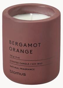 Vonná svíčka Fraga (bergamot a pomeranč)