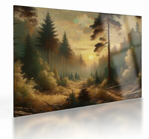 Skleněný obraz - Slunce zářící lesem (70x50 cm)