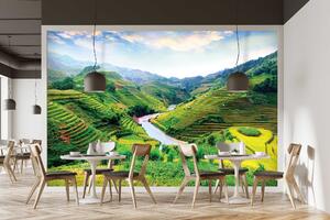 Malvis ® Tapeta Rýžová pole Vietnam Vel. (šířka x výška): 144 x 105 cm