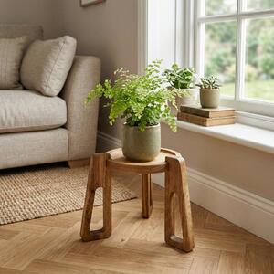 Wooden Mooden Designový dřevěný podstavec pod květináče a dekorace z masivu Výška nožiček: 25 cm, Pro dekorace do velikosti: Do 18 cm