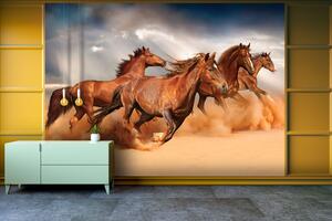Malvis ® Tapeta Koně na poušti Vel. (šířka x výška): 144 x 105 cm