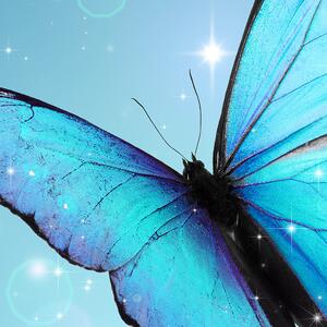Malvis ® Tapeta Motýli Vel. (šířka x výška): 144 x 105 cm