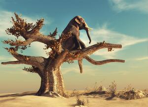 Malvis ® Tapeta Slon na stromě Vel. (šířka x výška): 144 x 105 cm