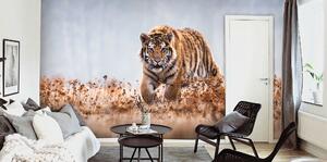 Malvis ® Tapeta Bengalský tygr Vel. (šířka x výška): 144 x 105 cm