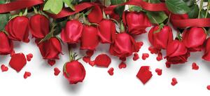 Malvis ® Tapeta Rudé růže Vel. (šířka x výška): 144 x 105 cm