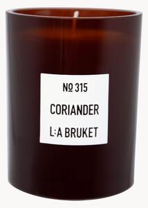 Vonná svíčka Coriander (eukalyptus, černý rybíz)