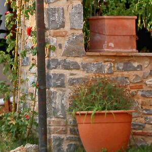 Malvis ® Tapeta Italská zahrada Vel. (šířka x výška): 288 x 200 cm