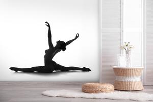 Malvis ® Tapeta Silueta baletky Vel. (šířka x výška): 288 x 200 cm