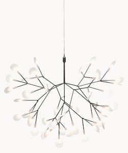 LED závěsné svítidlo Heracleum III